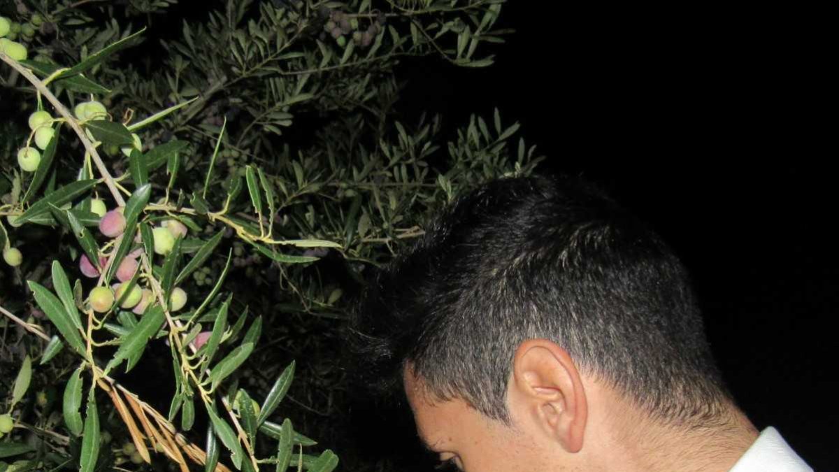 Isidoro Haro en la primera madrugada de la cosecha.