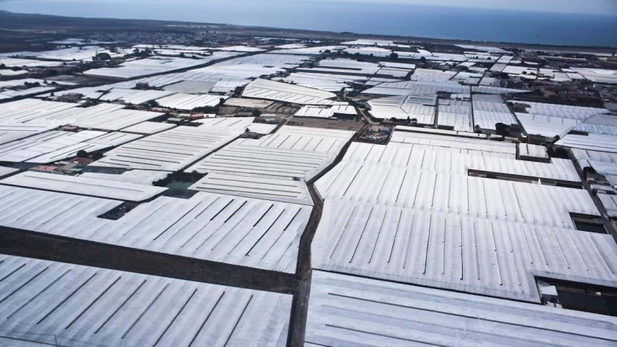Conocemos las técnicas y herramientas que se están usando en la agricultura intensiva almeriense.