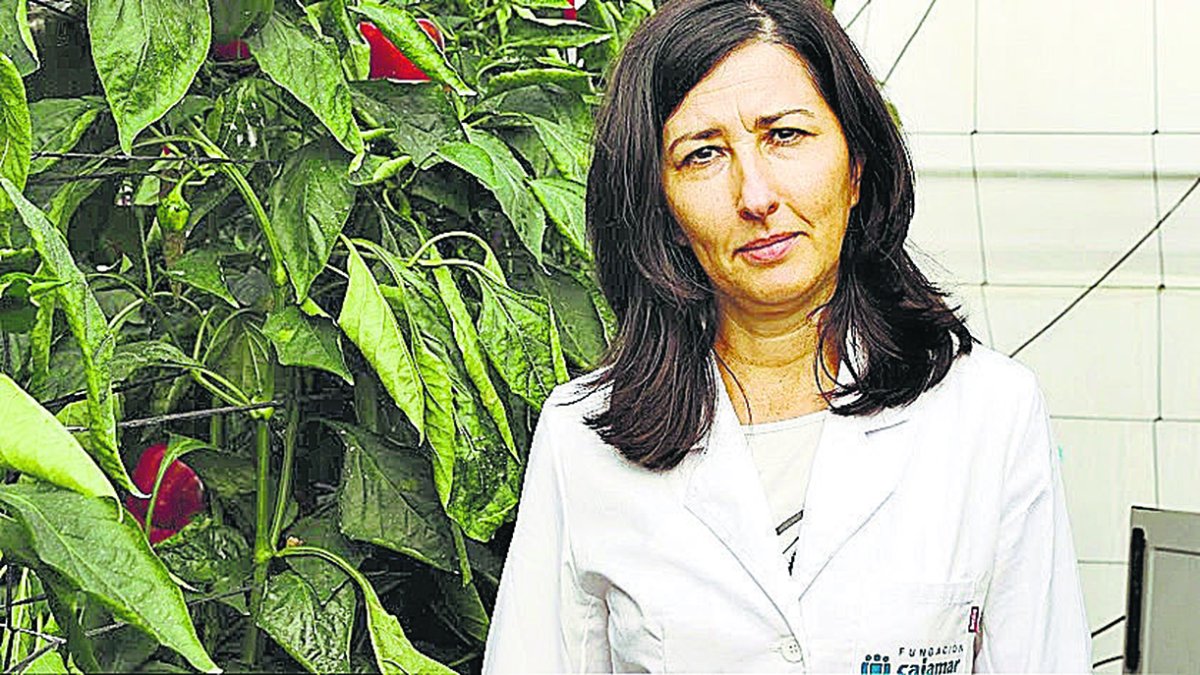 Marisa Gallardo, Investigadora de la UAL.