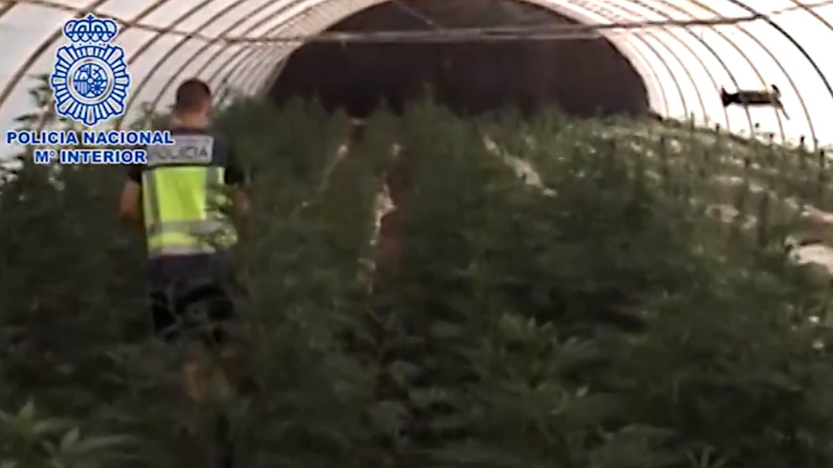 Imágenes de la actuación policial.