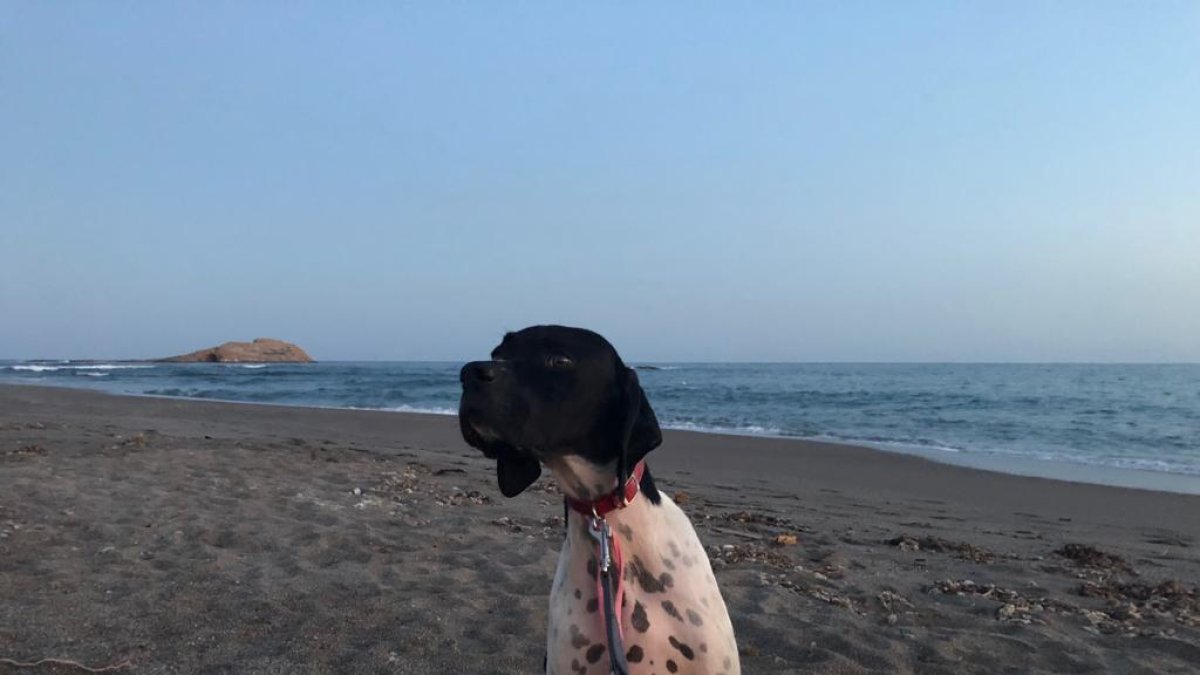Pepa pasea por la playa de Carboneras, con la isla de San Andrés de fondo.