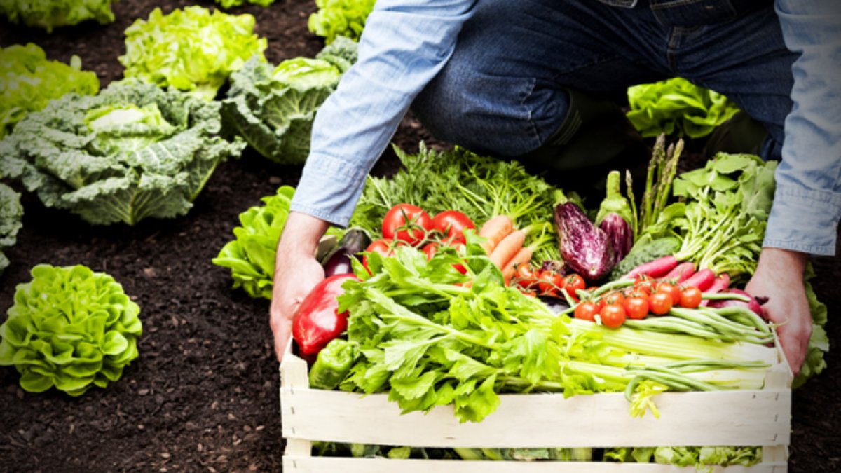 Ideología frente a biotecnología.