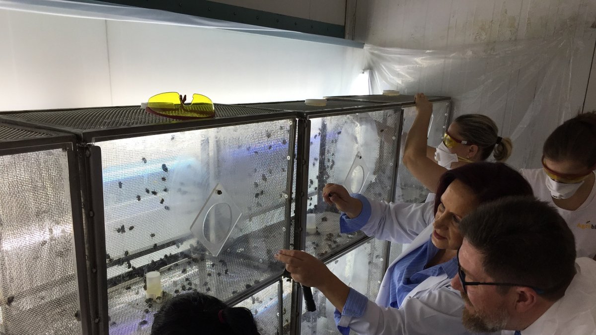 El consejero en las instalaciones de Agrobío