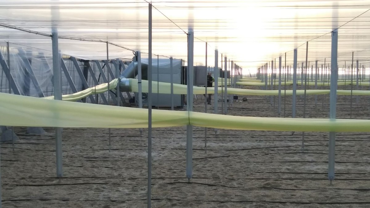 Equipos de calefacción en invernaderos.