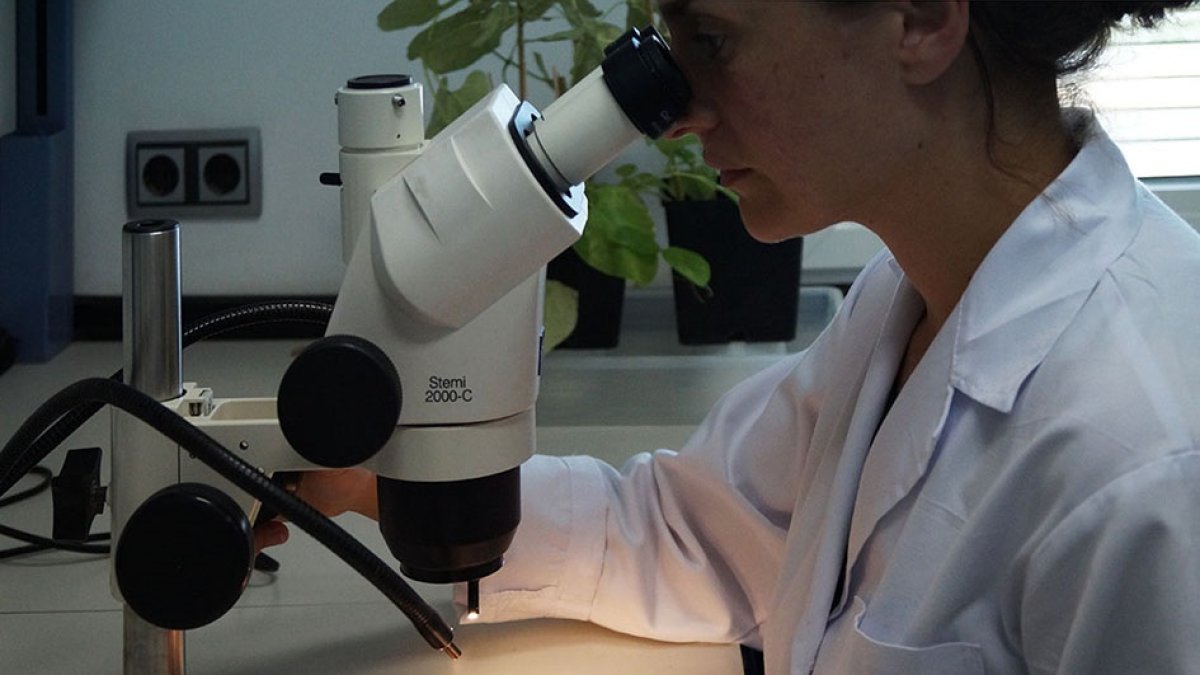 Laboratori de genética y nutrición.