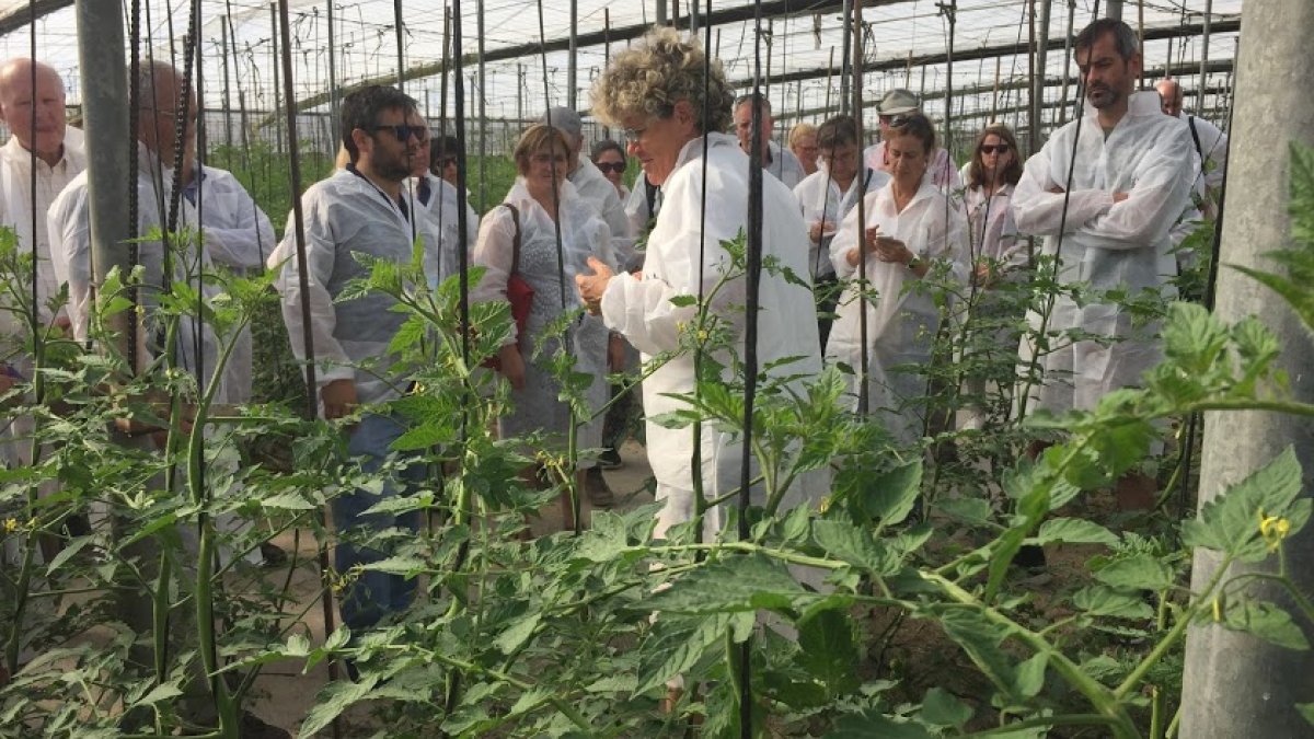 Investigadores europeos durante la visita a los invernaderos de Clisol Agro.