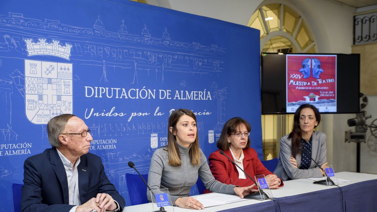 Presentación de la iniciativa ayer en Diputación.