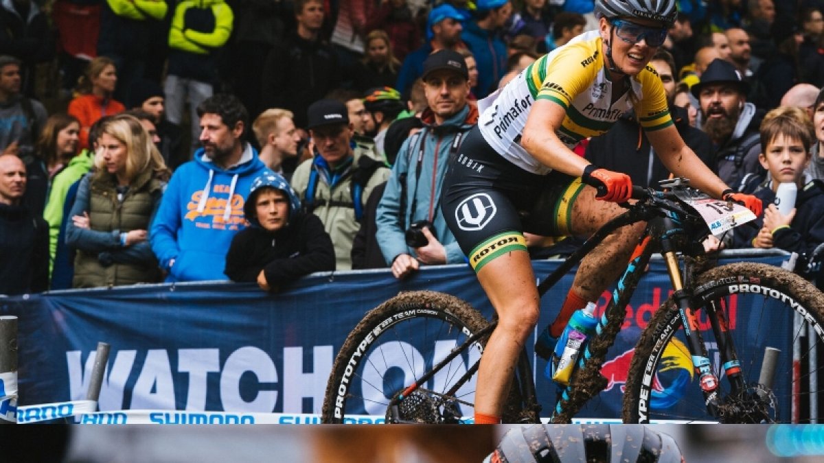 No ha sido un gran año para ellos.