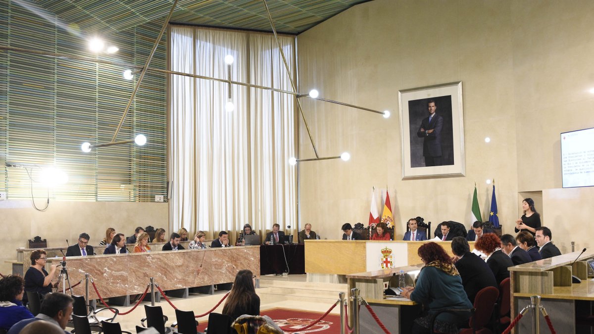 Imagen general del salón de plenos