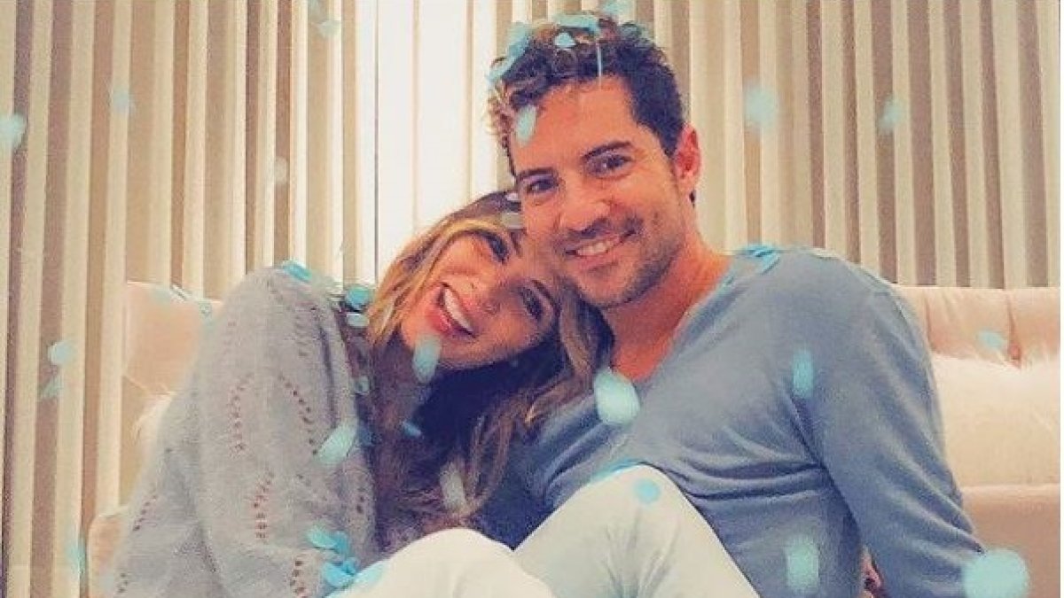 Bisbal ha anunciado que Rosanna Zanetti y él esperan un niño.