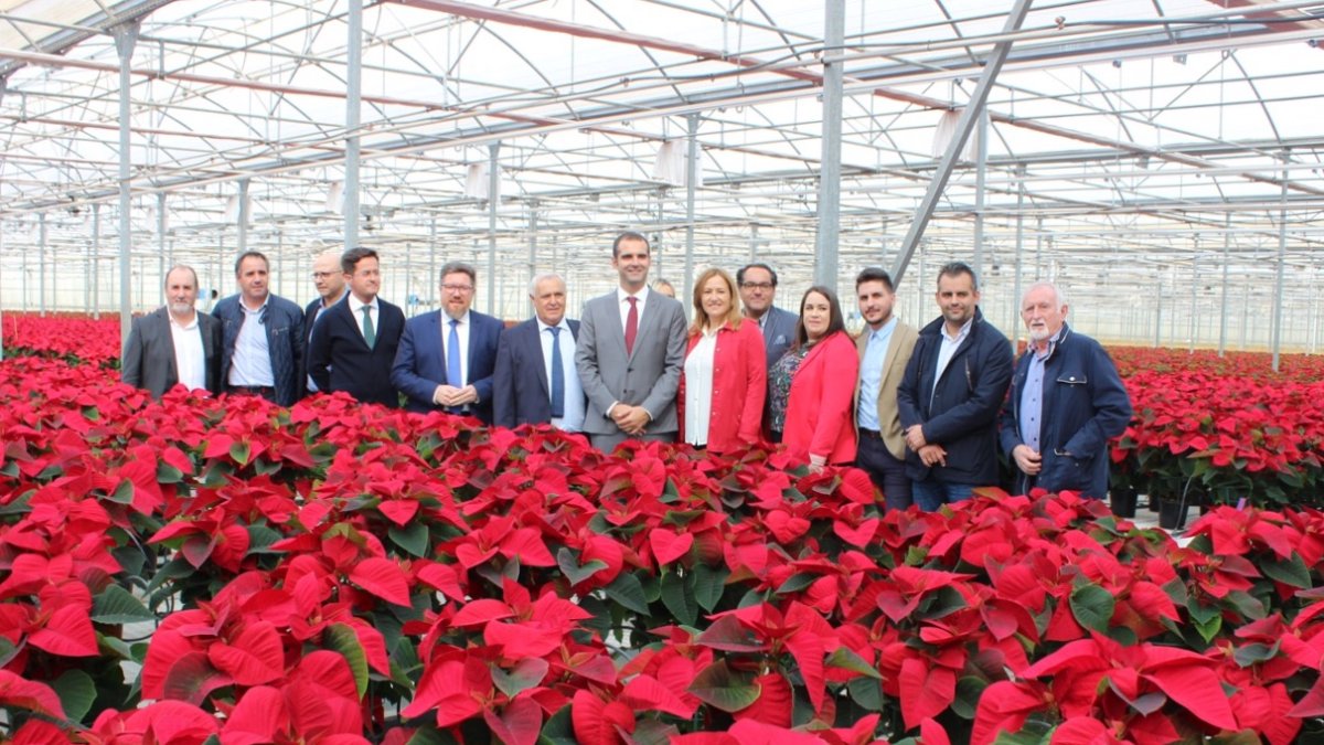 El sector que ha aumentado sus ventas al exterior un 36%.