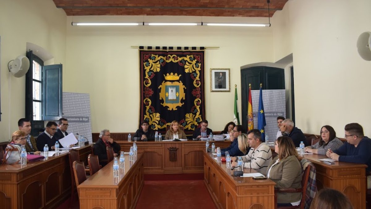 Sesión plenaria celebrada en Níjar.