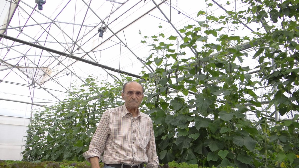 Juan del Águila Molina, fundador de la Caja Rural de Almería (ahora Cajamar), en el interior de un invernadero de Almería.