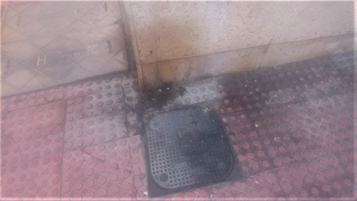 Fachada afectada por los excrementos de los perros.