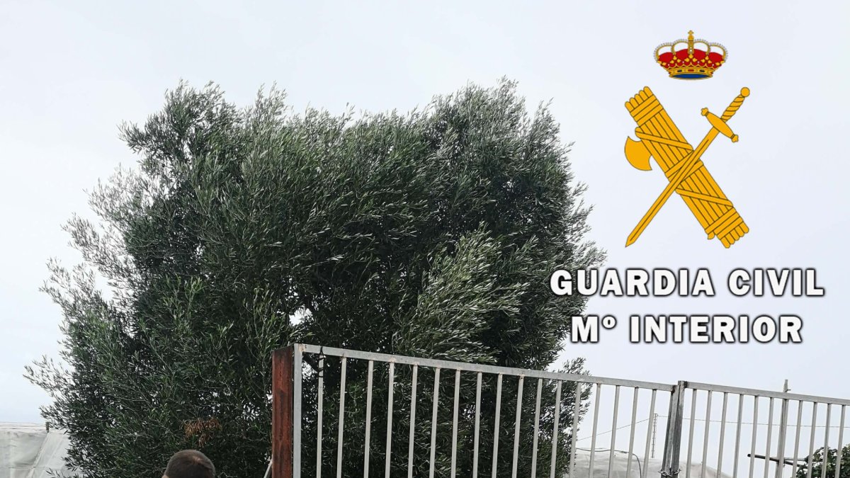 La Guardia Civil durante la investigación.