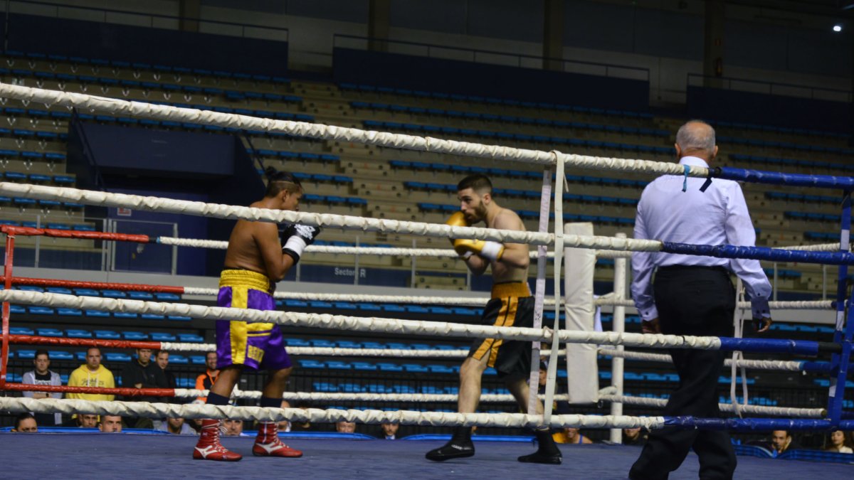 Velada en el Palacio.