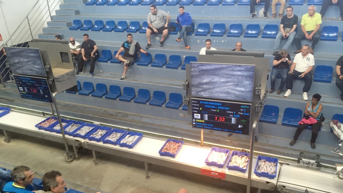 Subasta electrónica de pescado y marisco de la flota de arrastre en la lonja de almería.