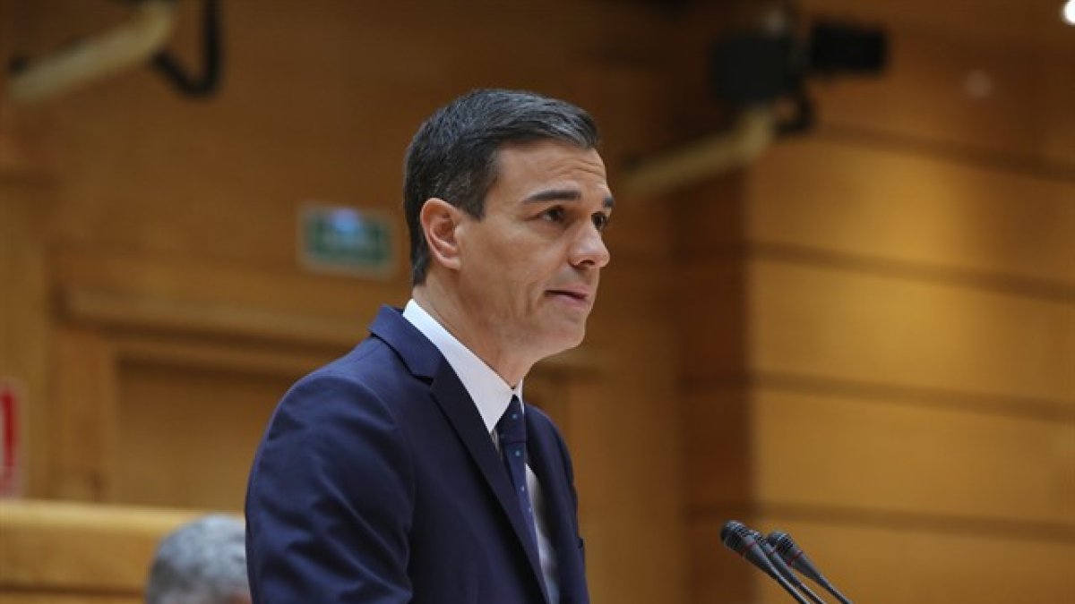 Pedro Sánchez, presidente del Gobierno.