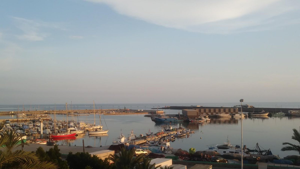 Los puertos se revitalizarán con nuevos proyectos.