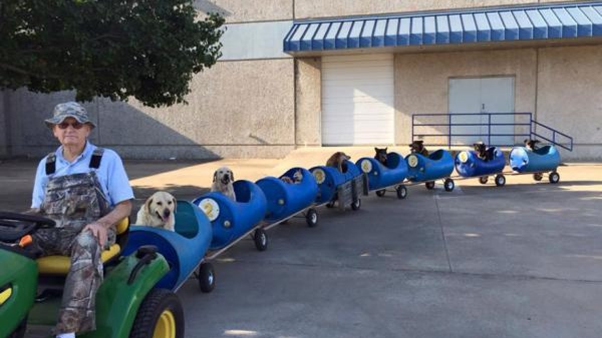 Eugene Bostick paseando en el tren a los perros.