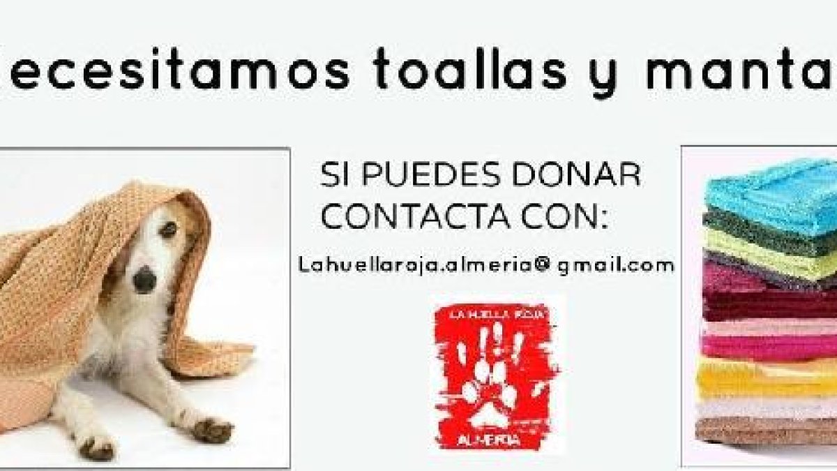 Imagen de la campaña de recogida de mantas y toallas.