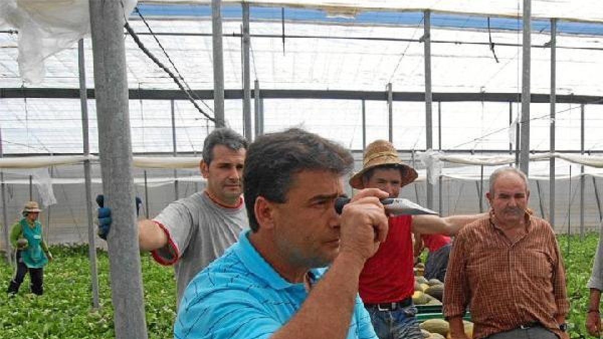 En una plantación comprobando el nivel de azúcar de la producción.