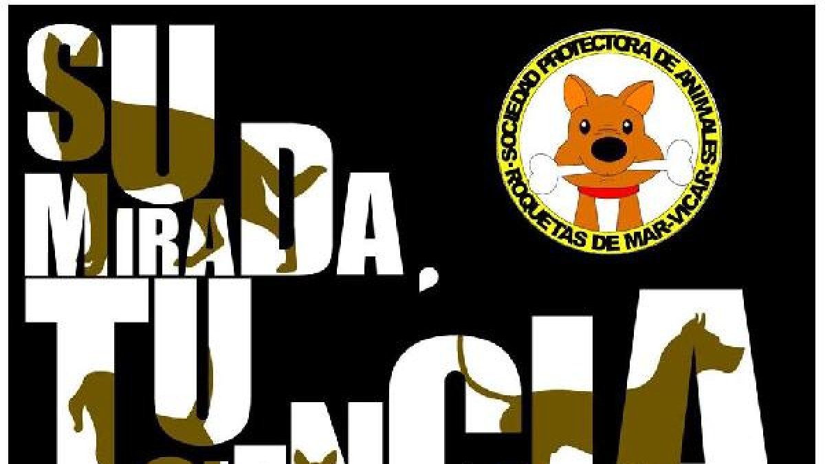 Su mirada, su conciencia es el nombre de la exposición.