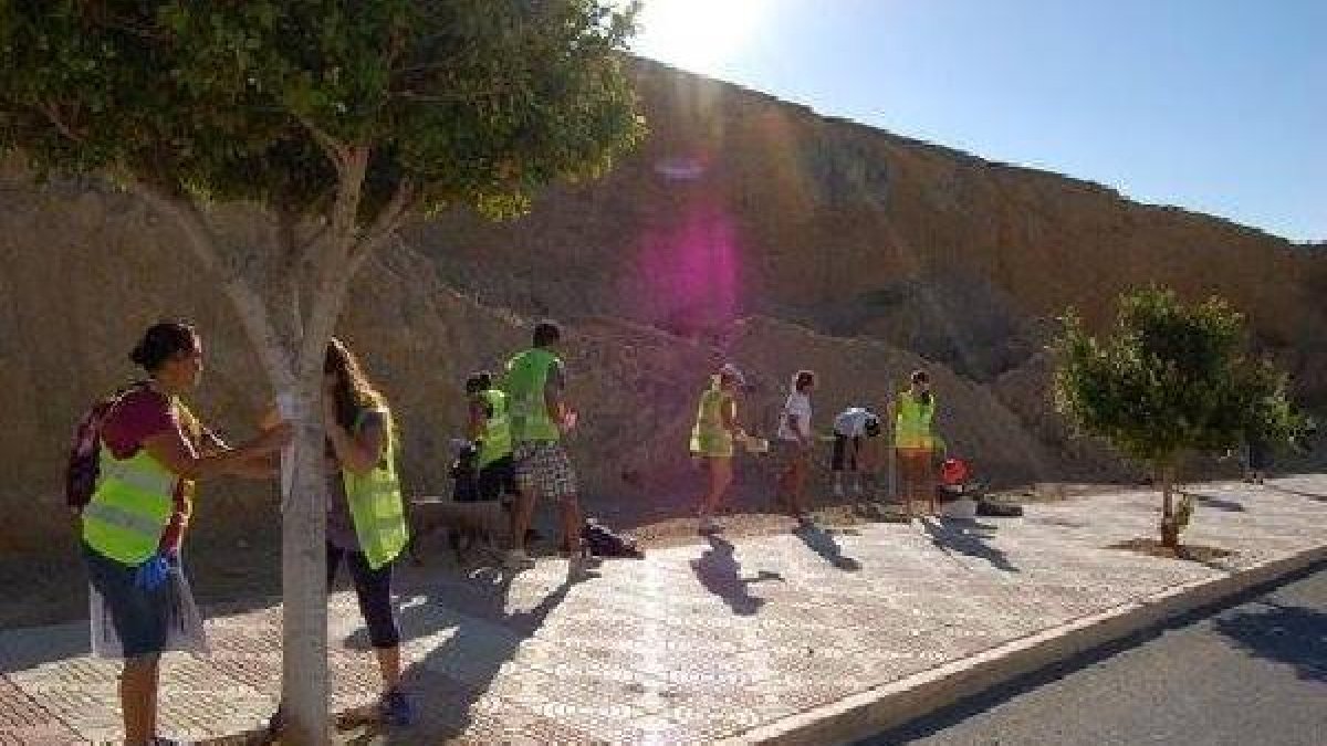 Voluntarios durante la recogida.