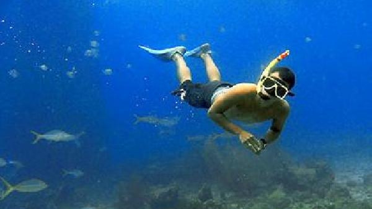 Vuelve el snorkel al programa de Actividades en la Naturaleza.