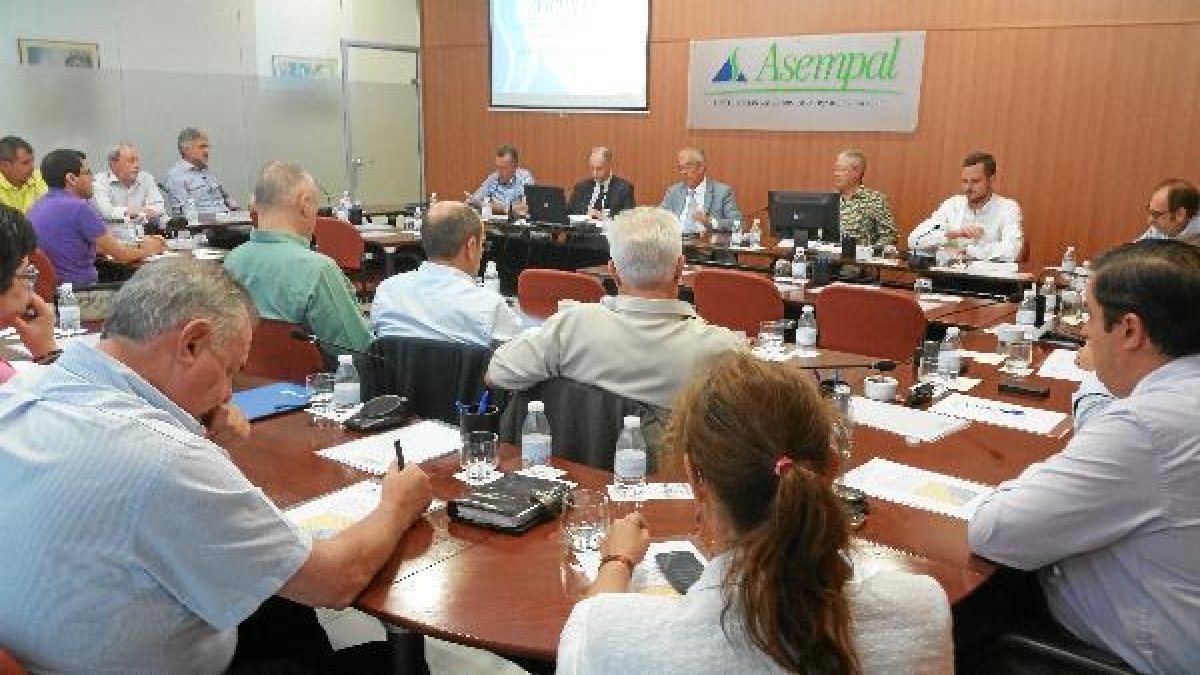 El consejero de Asempal o,469px);}