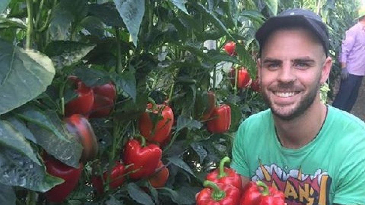 Juan Jiménez, en su invernadero.