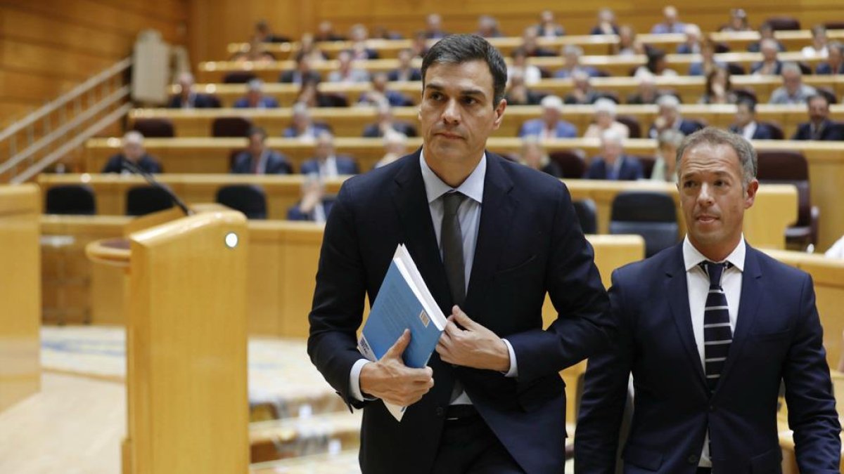 El presidente del Gobierno, Pedro Sánchez, en una comparecencia en el Senado