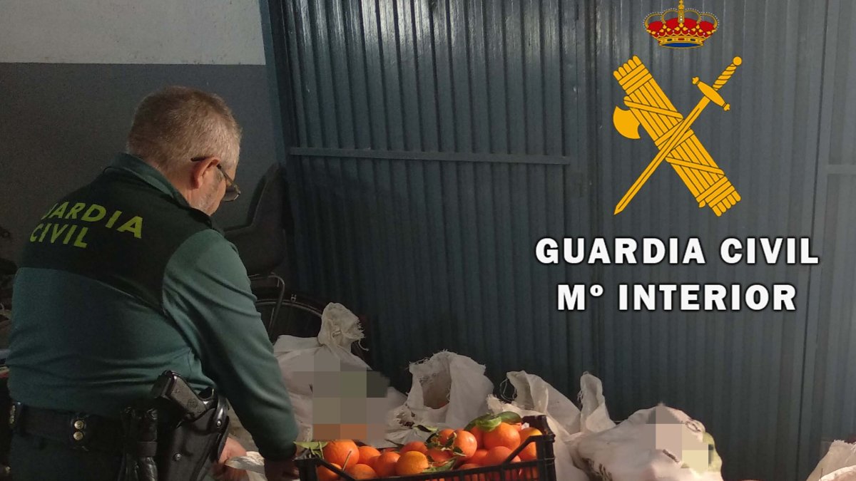 Productos incautados por la Guardia Civil.