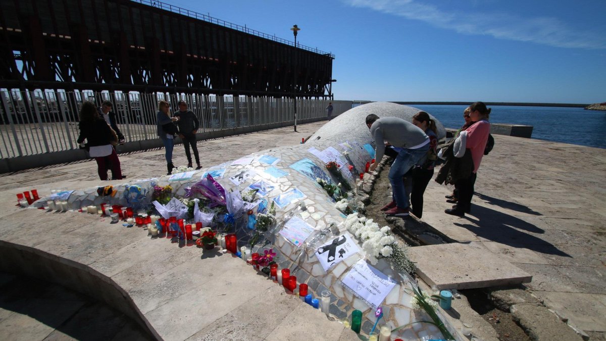 Los ciudadanos convirtieron la Ballena en un lugar para el recuerdo de Gabriel.