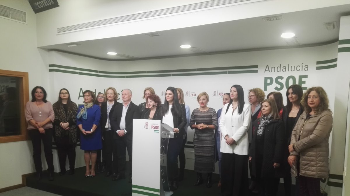 Comparecencia en la sede del PSOE de Almería.