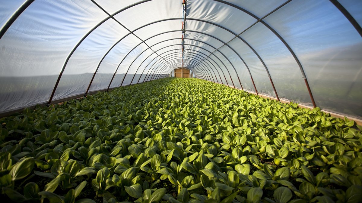 La tecnología, factor clave de la nueva agricultura