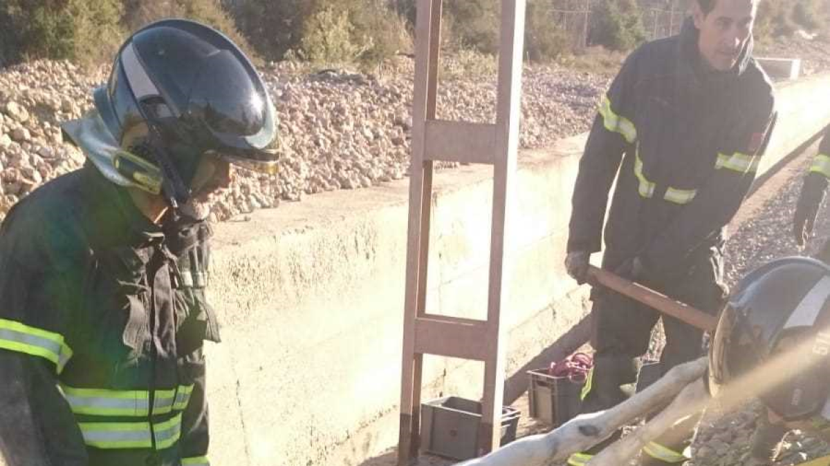 Un momento del rescate de la yegua.