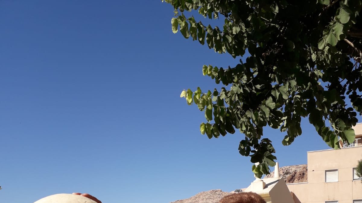 Mercedes García, jubilada de Pescadería-La Chanca.