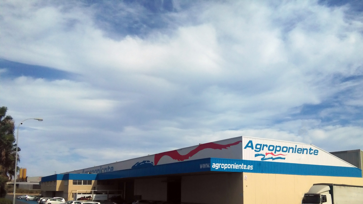 Agroponiente,  con sede en El Ejido, celebra Junta de Accionistas el próximo cuatro de febrero.