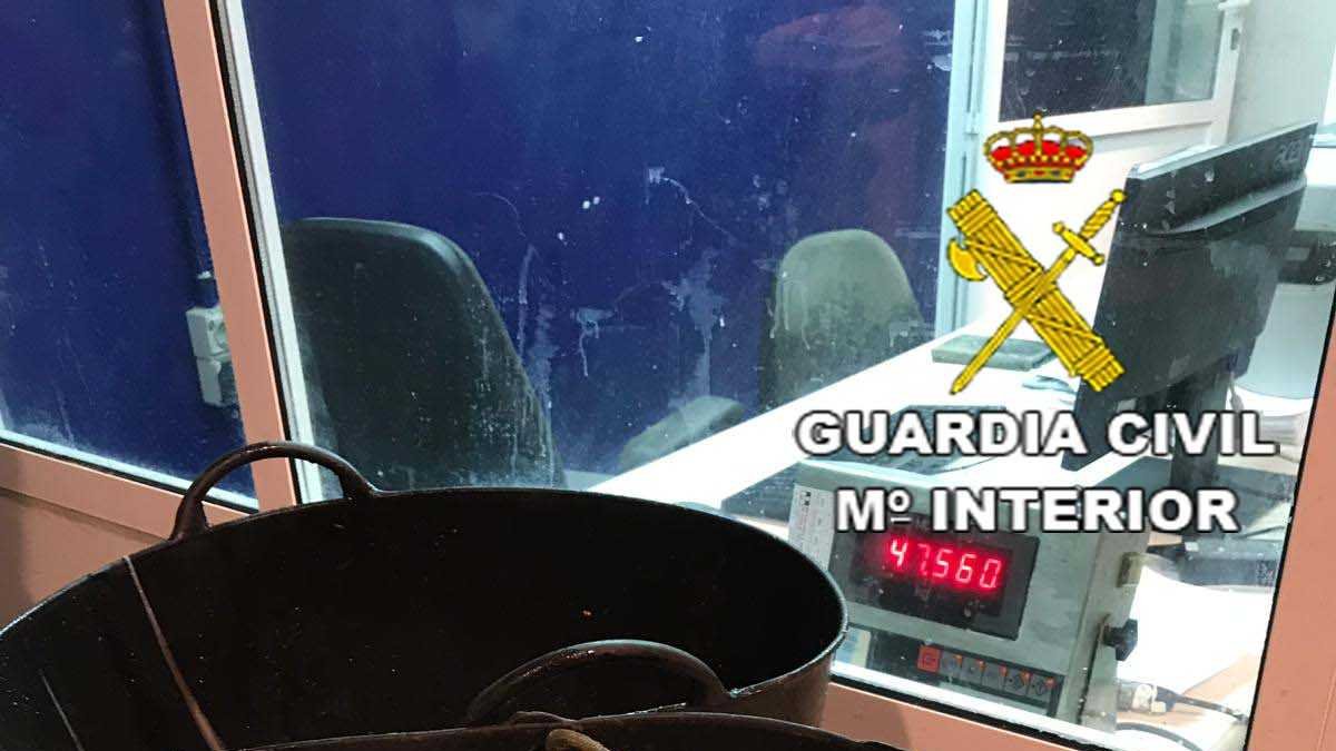 Los pulpos han sido entregados en un centro benéfico de la capital almeriense.