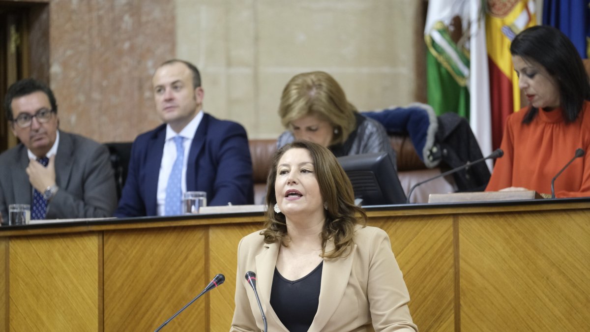 Carmen Crespo en la sesión de investidura.