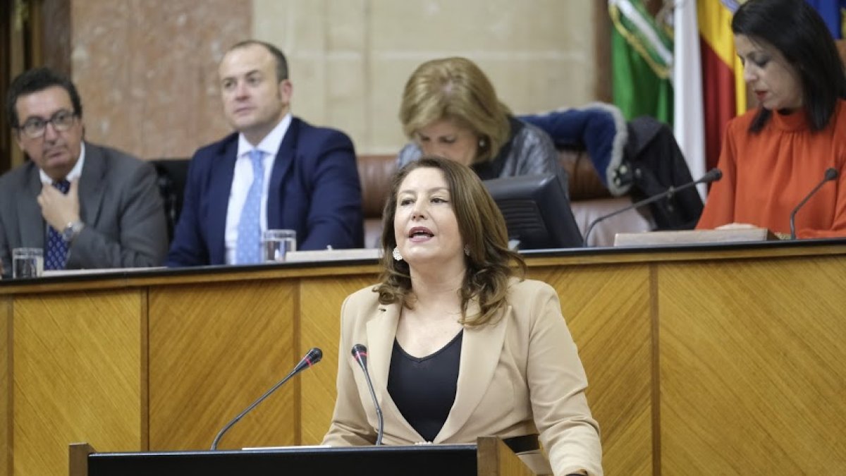 Carmen Crespo en la sesión de investidura.