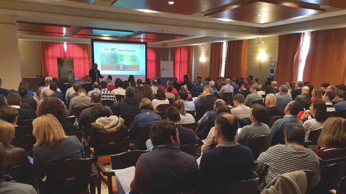 FOTOGRAFÍA de la ponencia