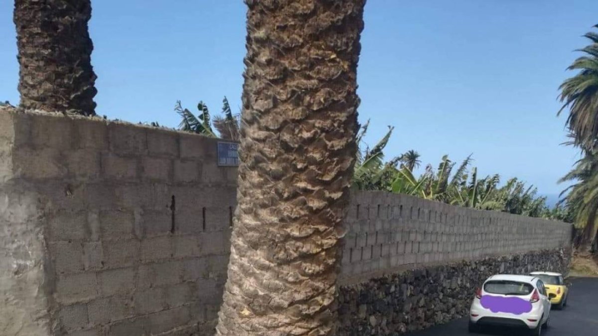 La fotografía de la señal está recorriendo las redes sociales.