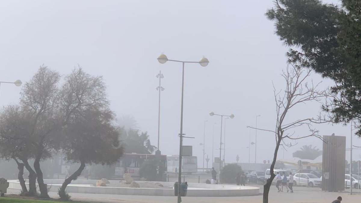 Niebla este mediodía en la Universidad de Almería.