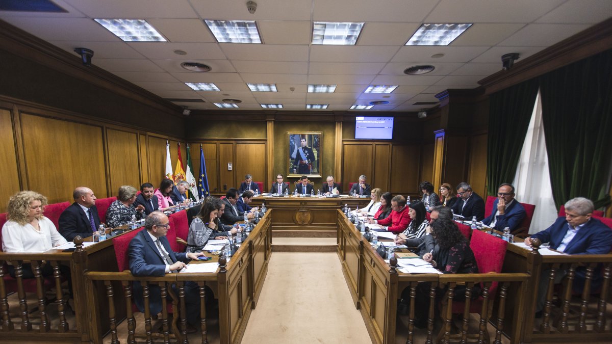 Pleno de la Diputación de Almería en la sesión de este miércoles, 6 de marzo.
