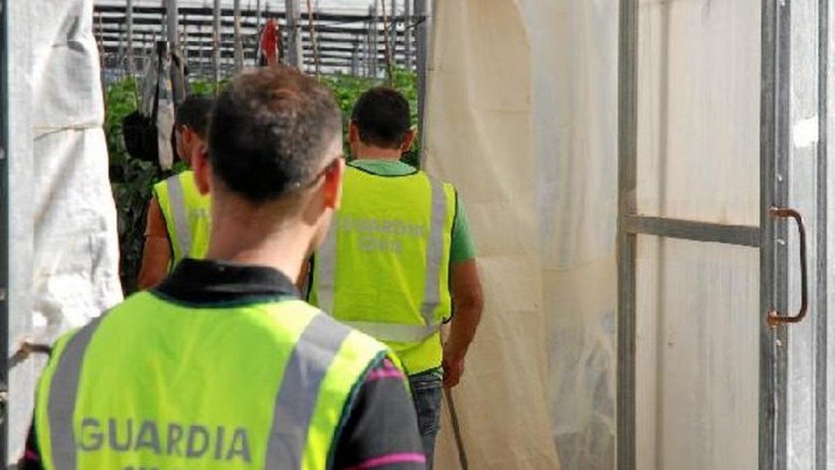Equipos de la Guardia Civil en Almería.