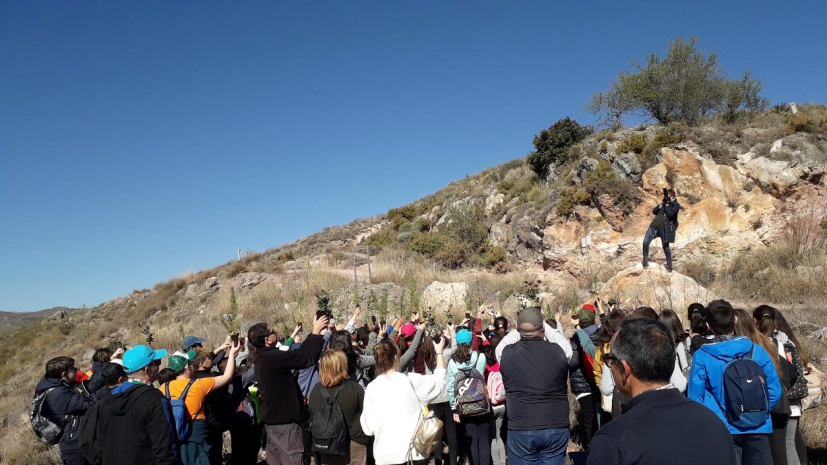 Equipo de Vicasol junto con los escolares durante la actividad.