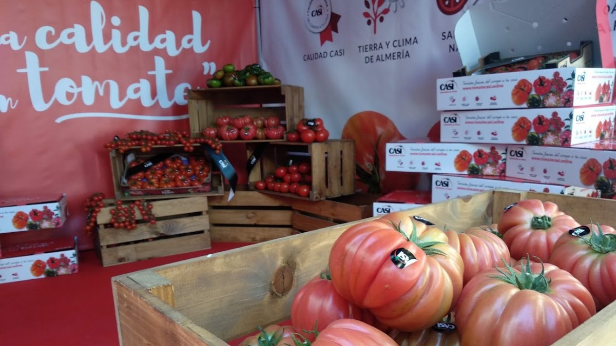 Stand de CASI en el Paseo de Almería