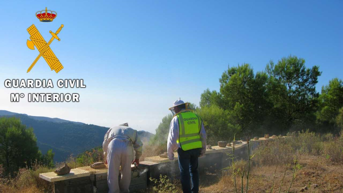 La Guardia Civil inspecciona algunas de las colmenas.